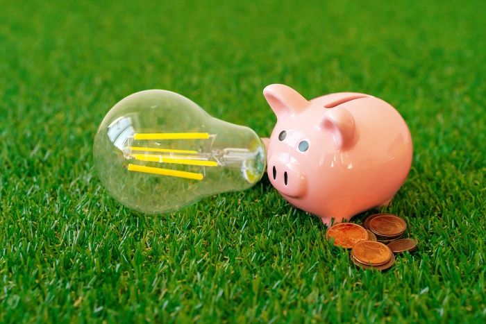 An energy efficient lightbulb lays on some grass next to a piggy bank.